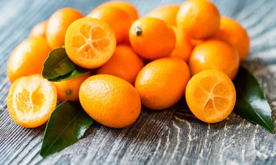 bienfaits du kumquat