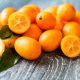 bienfaits du kumquat