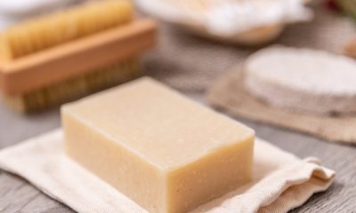 savon-fiel-de-boeuf-visage