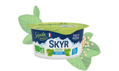skyr-bienfaits