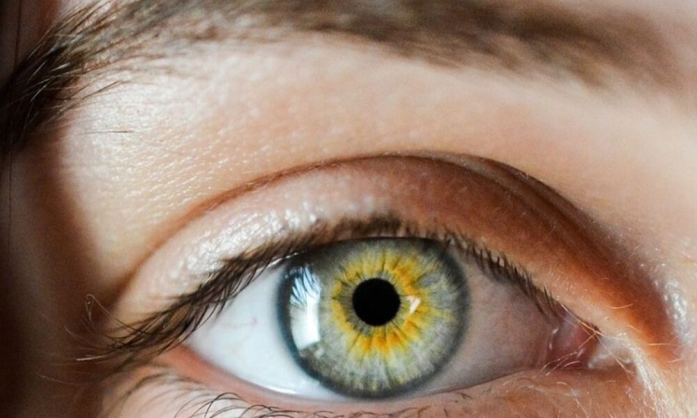 Mouches devant les yeux causes, traitements et signes d’alerte — free download