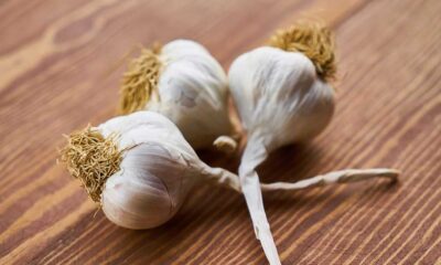 vermifuge-humain-naturel