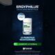 ergyphilus-confort