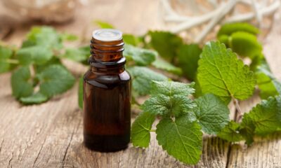 huile-essentielle-menthe-poivree
