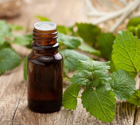 huile-essentielle-menthe-poivree