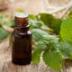 huile-essentielle-menthe-poivree