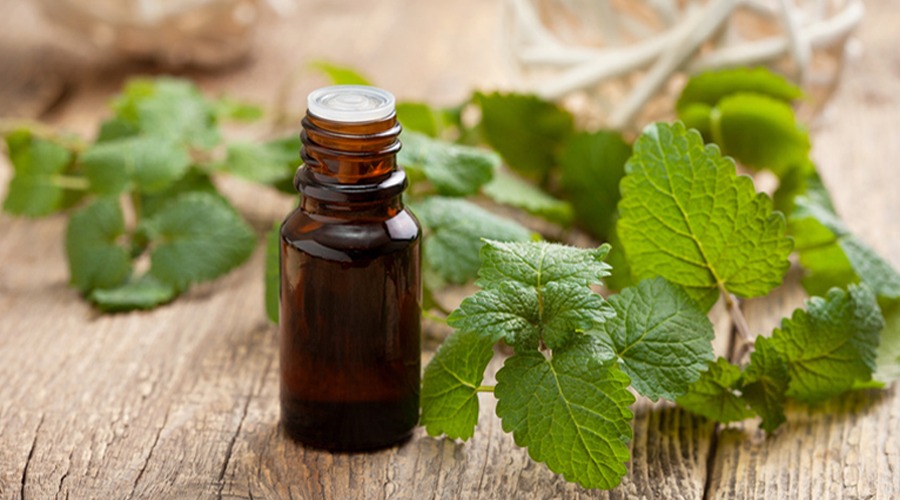 huile-essentielle-menthe-poivree