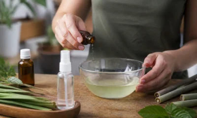 Comment fabriquer un anti-moustique naturel maison sûr et efficace ?